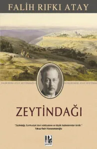 zeytindağı